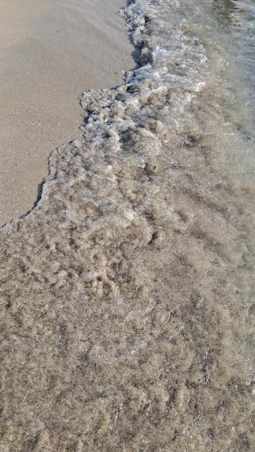 La Dimora Del Pescatore Gallipoli Esterno foto
